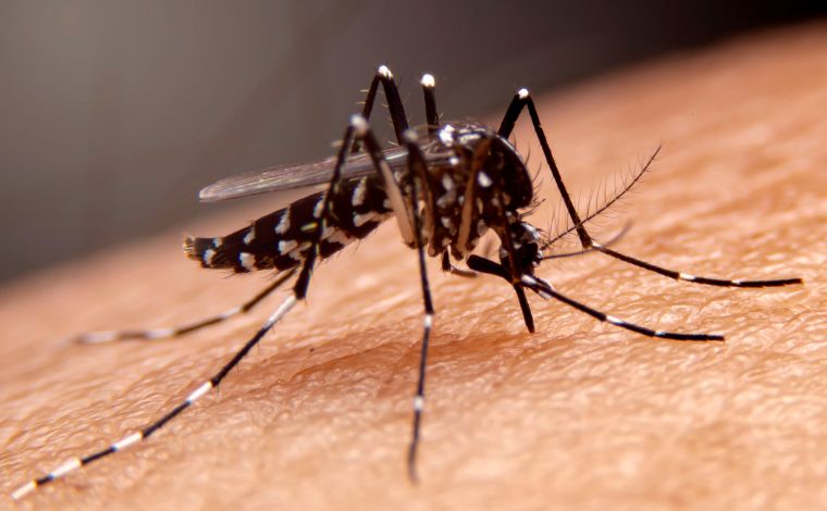 Dengue, zika e chikungunya: Sete Lagoas amplia horário de atendimento em nove unidades de saúde