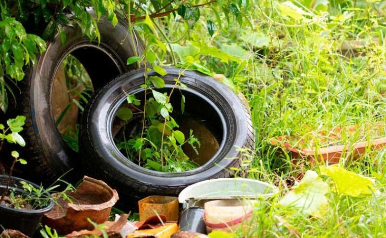 Minas Gerais vai decretar estado de emergência em saúde por causa da dengue