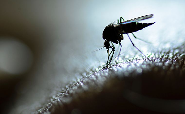 Saúde de Sete Lagoas divulga boletim informativo sobre casos de dengue, zika e chikungunya