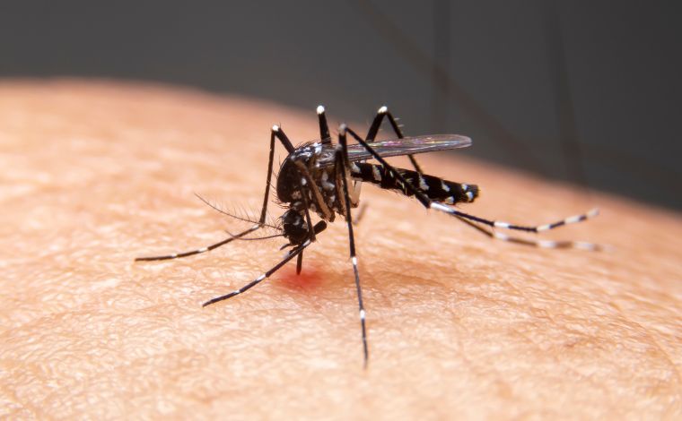 Sete Lagoas registra primeira morte de criança por dengue em 2024