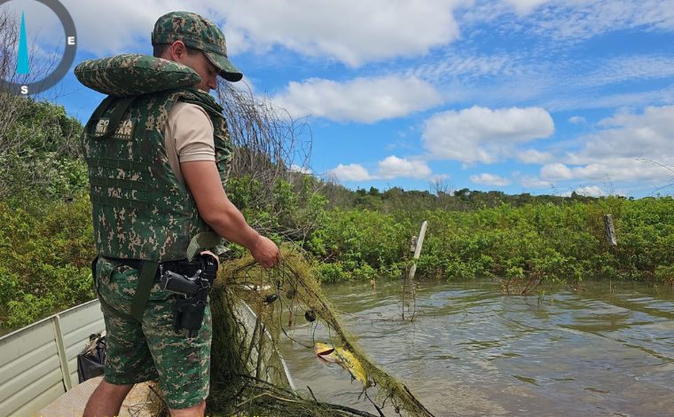 Operação Minas em Segurança realiza apreensões e fiscalizações ambientais em Sete Lagoas 