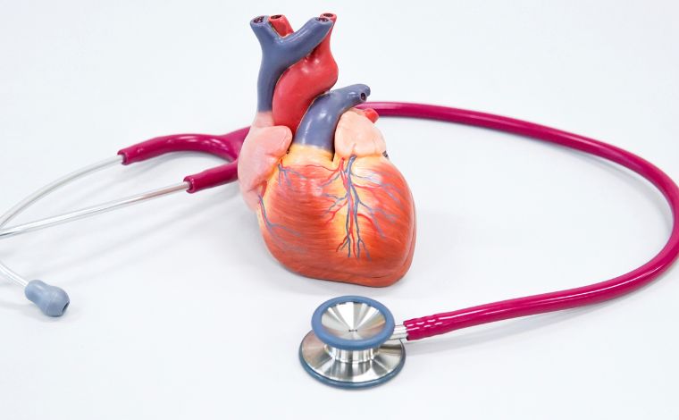 Exames de sangue: saiba quais indicadores é importante monitorar para saúde do coração
