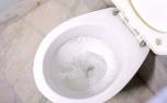 Menina de 7 anos morre ao subir em vaso sanitário e se cortar com pedaço de cerâmica 