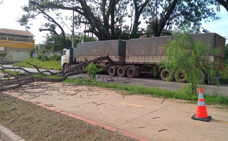 Vídeo: Galho de árvore cai, atinge carreta e bloquei rua no bairro Eldorado em Sete Lagoas 