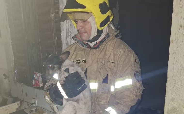 MG: botijão de gás explode e causa incêndio em residência; bombeiros resgataram cachorro 