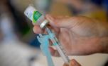 Sete Lagoas realiza ‘Dia D de vacinação contra gripe no próximo sábado (13); veja quem pode tomar 