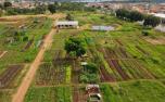Sete Lagoas e Gran Urbanismo celebram parceria para substituir cercamento da horta do Cidade de Deus