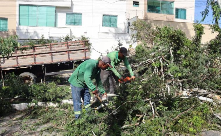 Foto: DivulgaÃ§Ã£o/PMSL - Na avenida Vila Lobos, uma importante via que atravessa vÃ¡rios bairros como Centro, Jardim CambuÃ­, Panorama e Mangabeiras, tÃªm sido frequentes os incidentes envolvendo a queda de Ã¡rvores de grande porte