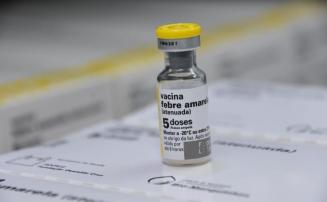 Febre amarela: Saúde alerta para vigilância e imunização após novos casos da doença em MG e SP