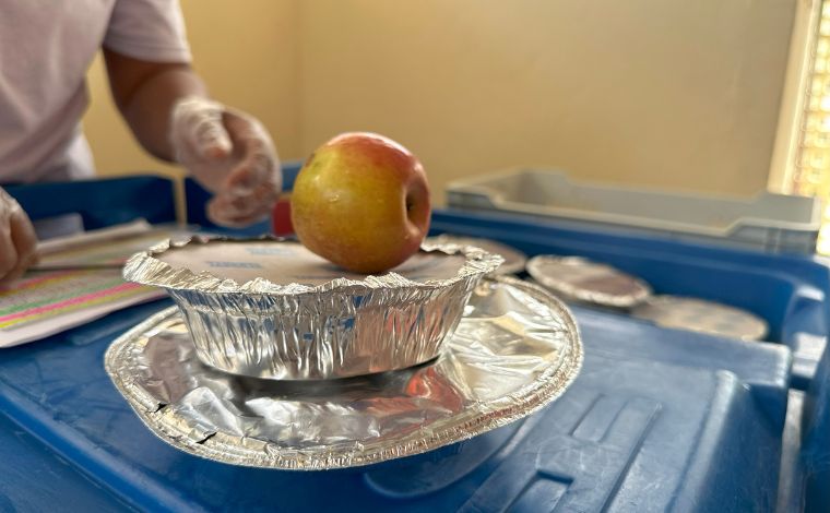 Incentivo do Governo de Minas leva alimentação saudável e gratuita para mais de 9 mil famílias