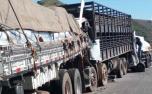 Vídeo: Acidente entre três caminhões deixa um morto e interdita BR-262, em MG