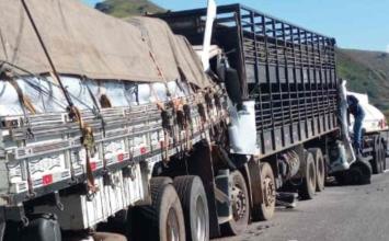 Vídeo: Acidente entre três caminhões deixa um morto e interdita BR-262, em MG
