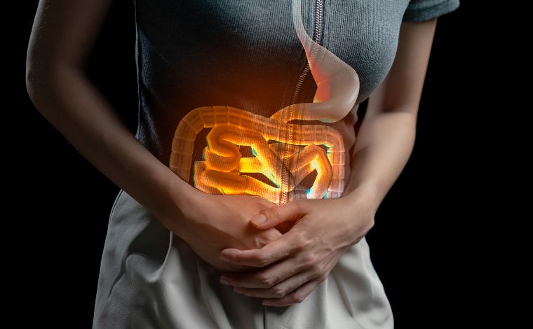 Microbiota intestinal: veja como saúde do intestino pode afetar o corpo todo