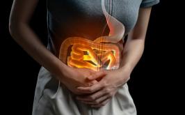 Microbiota intestinal: veja como saúde do intestino pode afetar o corpo todo