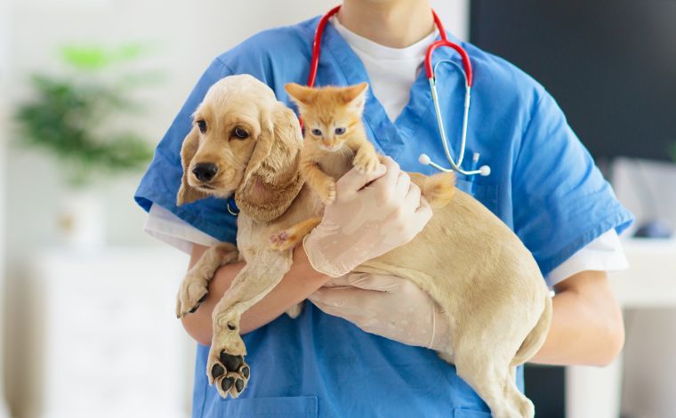 CCZ de Sete Lagoas realiza castração gratuita de pets na região de Wenceslau Brás neste sábado (8)
