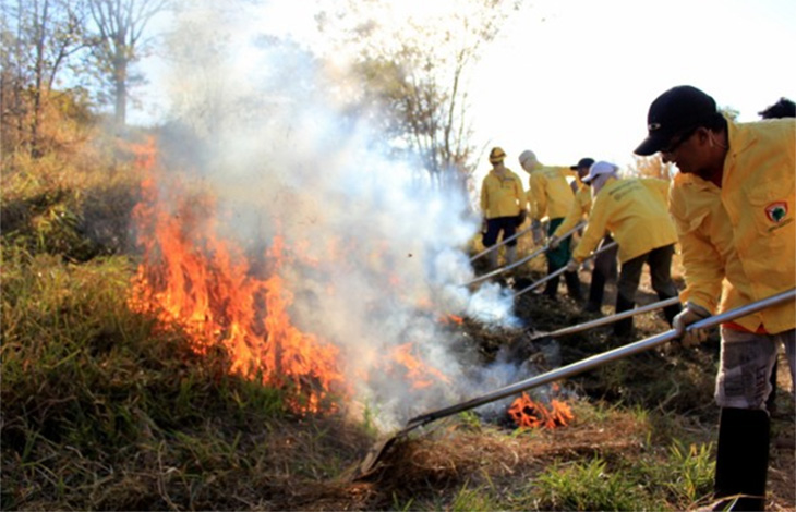 Semad abre processo seletivo para contratar quase 300 brigadistas