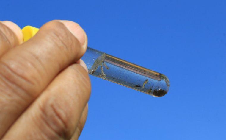 Dengue, Zika e Chikungunya: Sete Lagoas está fora do surto de arboviroses há mais de um mês