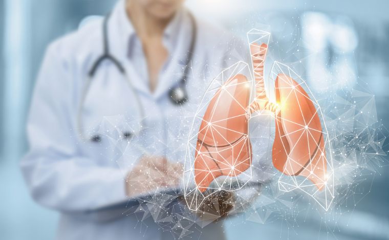 Como pássaros, queijos e vinho podem causar doenças pulmonares