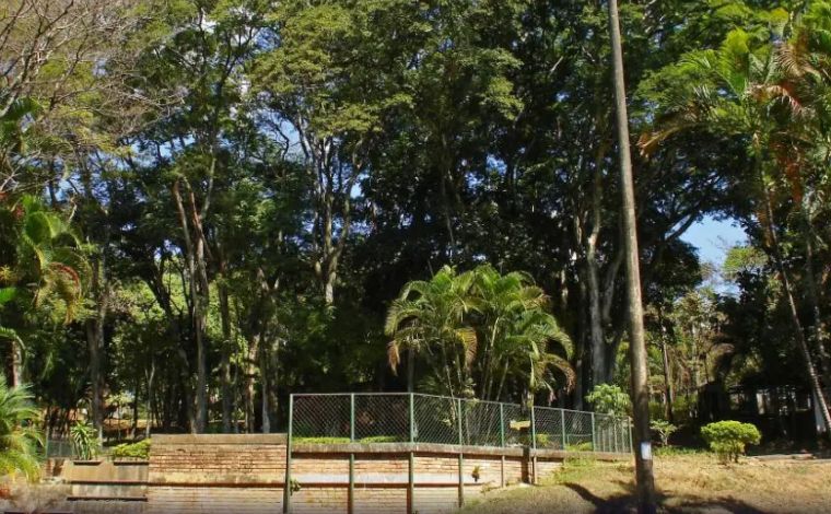 Mulher se finge de morta para sobreviver após ser estuprada e agredida em parque de BH
