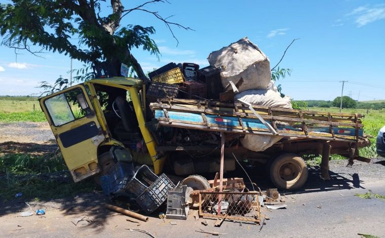 Caminhão desgovernado atinge árvore e mata passageiro na rodovia LMG-122