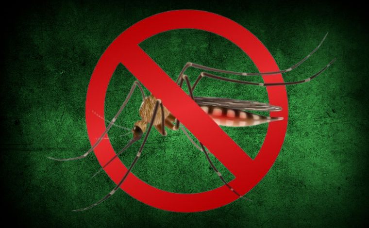 População de Sete Lagoas conta com novo canal para denúncias e orientações sobre a dengue