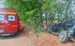 Motorista perde controle e colide contra barranco na estrada entre Estiva e Silva Xavier