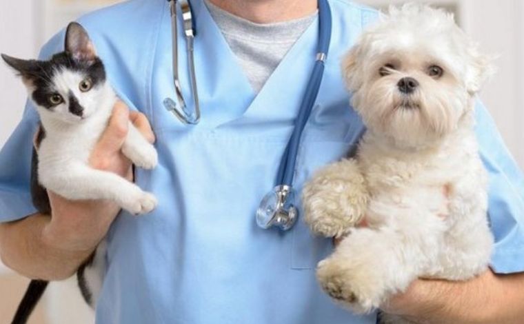 Castramóvel chega a novos bairros de Sete Lagoas com castração gratuita de cães e gatos
