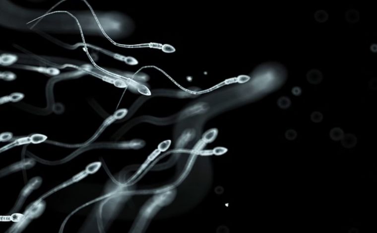 Cientistas começam a testar anticoncepcional masculino em humanos