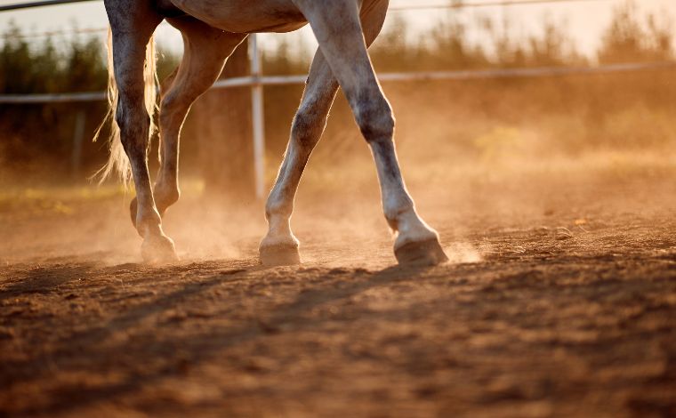 Foto: Getty Images - De acordo com a PM, testemunhas relataram que a crianÃ§a estava com uma corda enrolada no braÃ§o e presa ao animal. Em determinado momento, o cavalo teria sido possivelmente atacado por marimbondos, o que o levou a sair em disparada