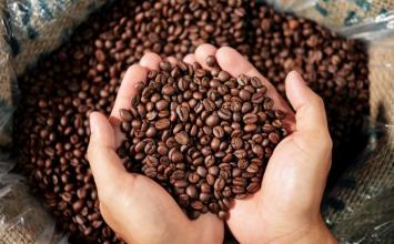 Governo reprova três marcas de café por serem impróprias para consumo