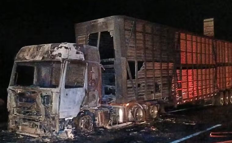 Incêndio atinge caminhão com 53 bois na BR-040; parte dos animais morreram carbonizados