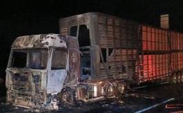 Incêndio atinge caminhão com 53 bois na BR-040; parte dos animais morreram carbonizados