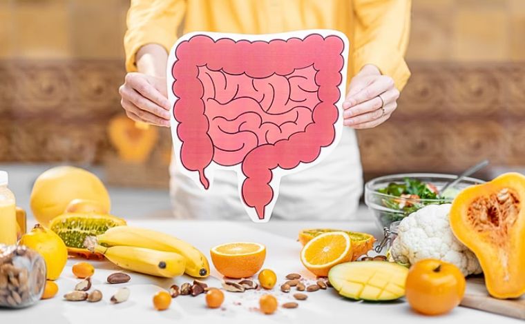 Veja como as fibras ajudam a proteger o corpo de bactérias ruins