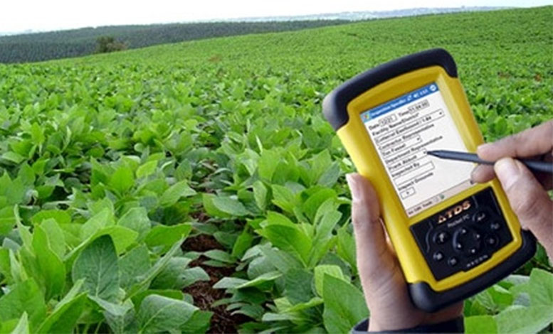 FGV Projetos prorroga inscrições para Censo Agropecuário do IBGE