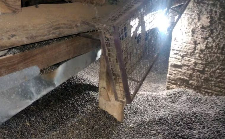 Mulher morre soterrada por grãos de café em silo em zona rural de Minas Gerais 