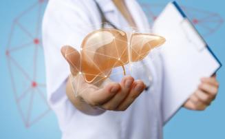 Veja as causas e como prevenir a gordura no fígado