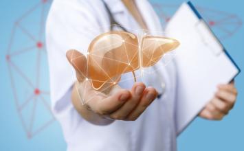 Veja as causas e como prevenir a gordura no fígado