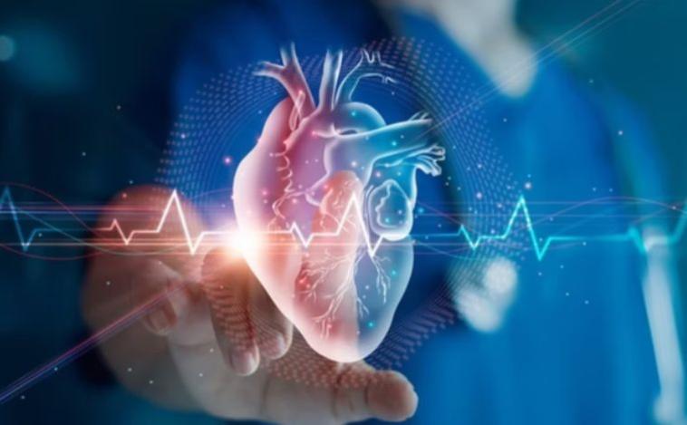 Cientistas acham enzima que pode evitar diabetes e doenças cardíacas