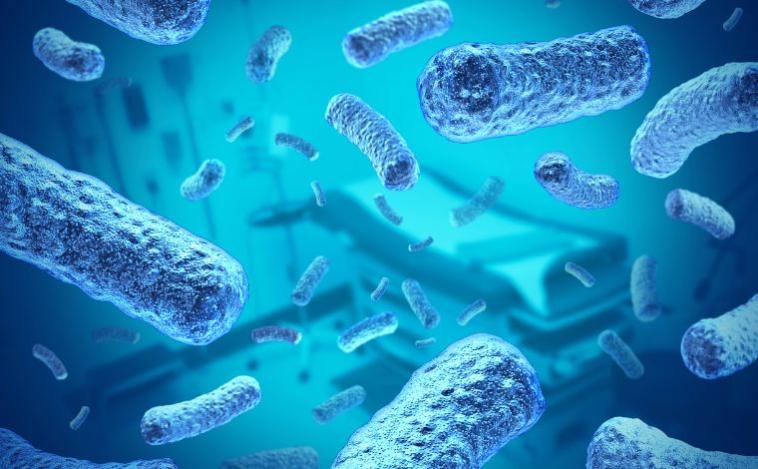 Com duas mortes de bebês, Belo Horizonte registra 14 óbitos por meningite e 96 casos em 2025