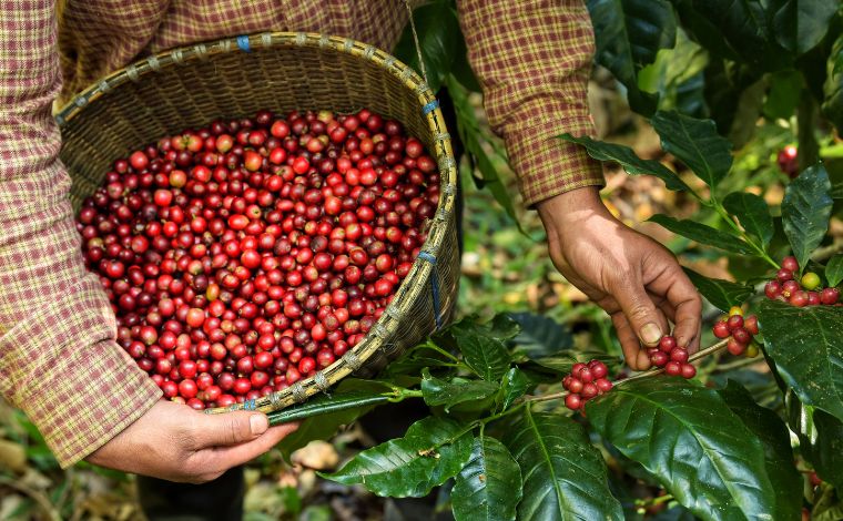Veja os principais produtos afetados pelas tarifas de Trump em cada país