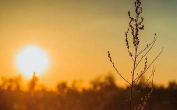 Calor intenso deve atingir Minas Gerais e outras regiões do país durante novo veranico