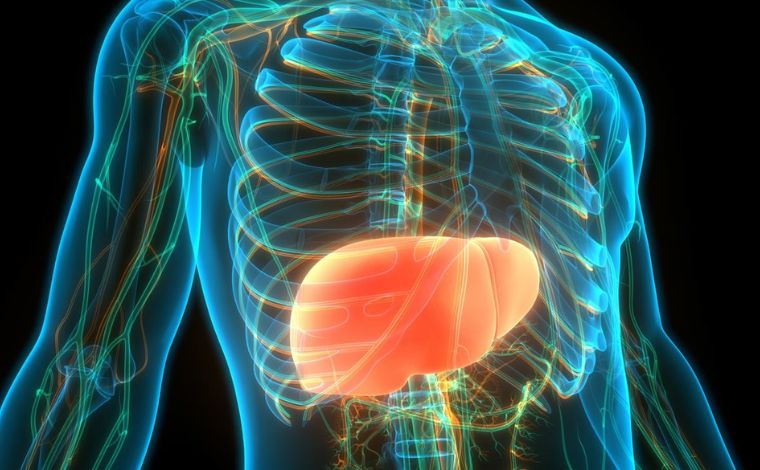 Foto: Getty Images - O MinistÃ©rio da SaÃºde estima que cerca de 30% da populaÃ§Ã£o brasileira conviva com o problema. Entre as principais causas estÃ£o obesidade, diabetes, colesterol elevado e consumo excessivo de Ã¡lcool