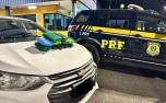 Jovens são presos com 11 kg de maconha durante fiscalização na BR-040 em Sete Lagoas