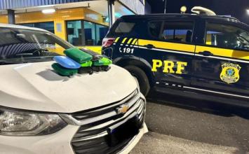 Jovens são presos com 11 kg de maconha durante fiscalização na BR-040 em Sete Lagoas