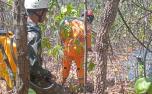 Força-tarefa atua há quatro dias contra incêndio na Serra de Santa Helena em Sete Lagoas