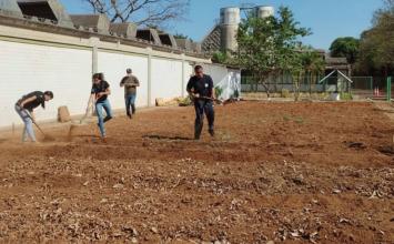 Prefeitura inaugura Horta Pedagógica no CAIC em Sete Lagoas