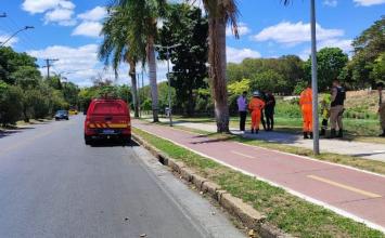 Dois idosos morrem afogados na Lagoa da Pampulha, em Belo Horizonte