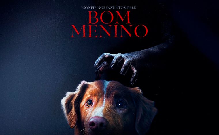 Destaque - Bom Menino