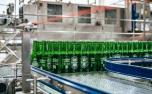 Heineken inaugura primeira fábrica em Minas Gerais e amplia presença industrial no Brasil