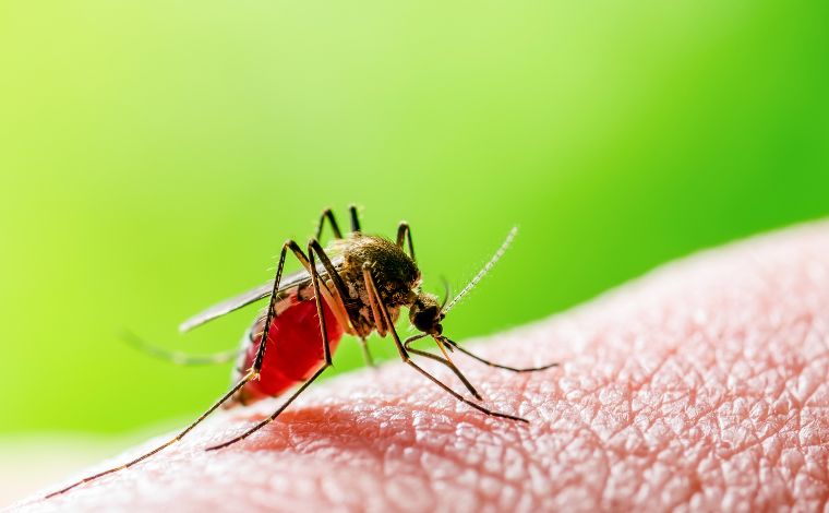 Foto: Getty Images - Conforme a secretaria, a paciente buscou atendimento no domingo (9). Na ocasiÃ£o, recebeu medicaÃ§Ã£o e foi liberada. Dois dias depois, houve agravamento do quadro clÃ­nico